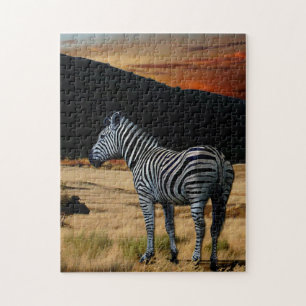 Zebra in Kenya. Jigsaw Puzzle