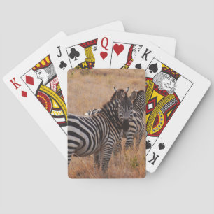 Zebra in Kenya Playing Cards
