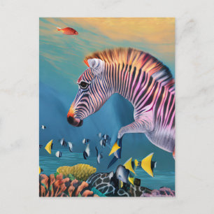 Zebra in the Ocean Postcard