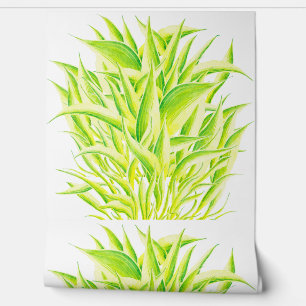 Zebra Iris on a  Wallpaper