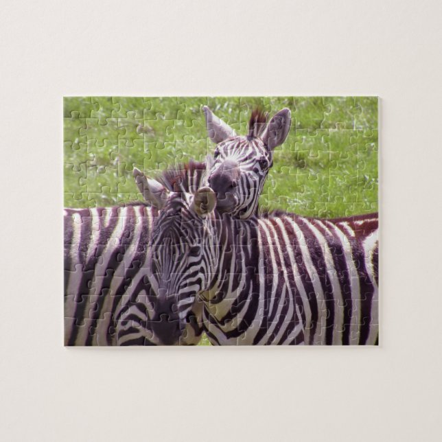 Zebra Jigsaw Puzzle (Horizontal)