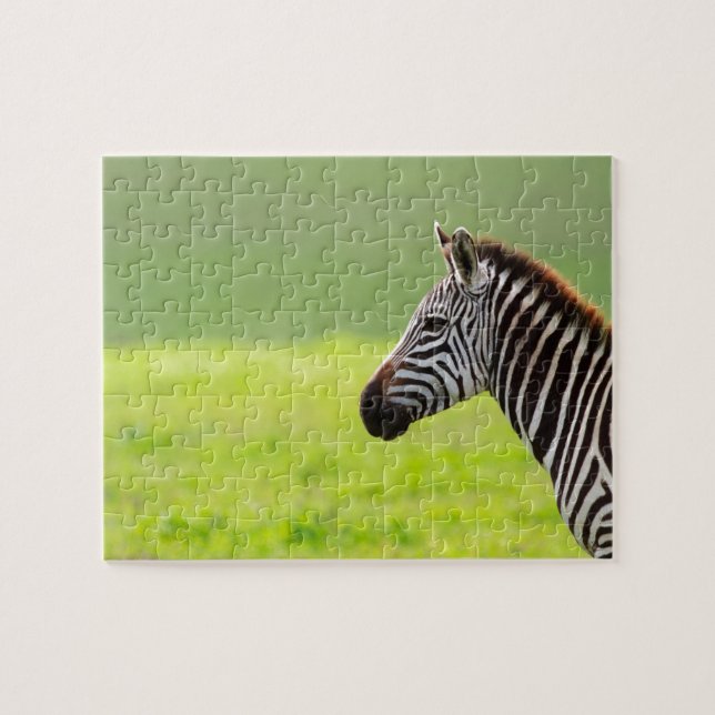 Zebra Jigsaw Puzzle (Horizontal)
