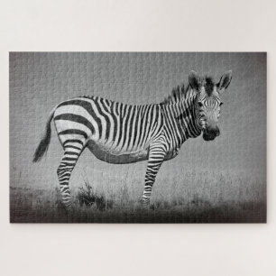 Zebra Jigsaw Puzzle