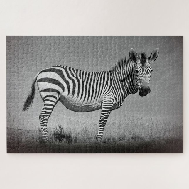 Zebra Jigsaw Puzzle (Horizontal)