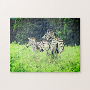 zebra life jigsaw puzzle