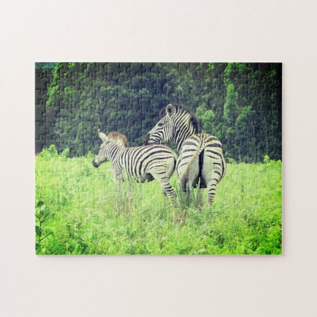 zebra life jigsaw puzzle (Horizontal)
