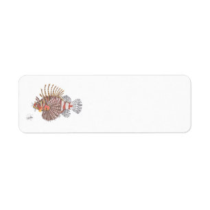 ZEBRA LIONFISH