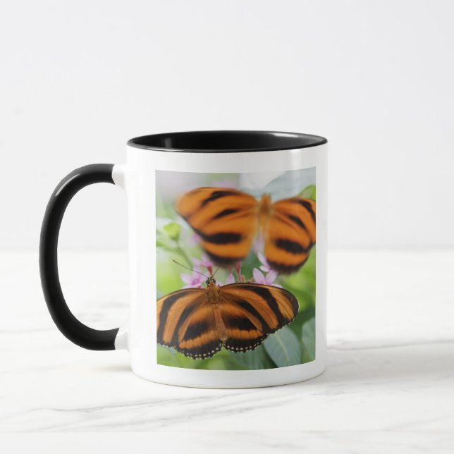 Zebra Long Wing Butterfly 2 Mug (Left)