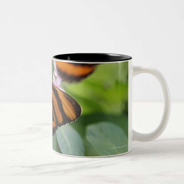 Zebra Long Wing Butterfly 2 Two-Tone Coffee Mug (Right)