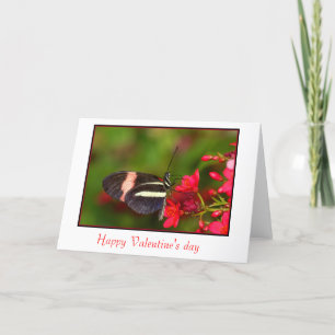 Zebra Long-wing valentine's day card