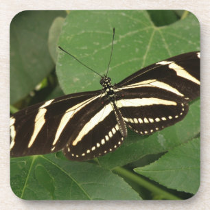 Zebra Longwing Butterfly Cork Coaster