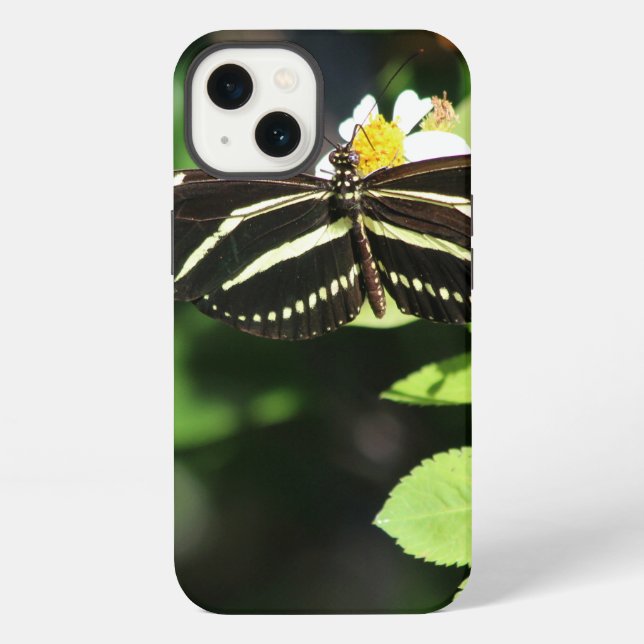 Zebra Longwing Butterfly iPhone Cases (Back)
