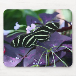 Zebra Longwing Butterfly Mouse Pad