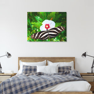 Zebra longwing butterfly on a Hibiscus Red Heart Canvas Print