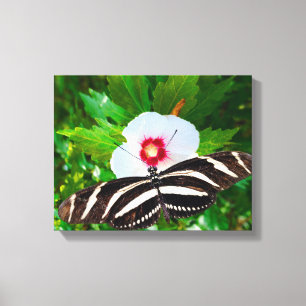 Zebra longwing butterfly on a Hibiscus Red Heart Canvas Print