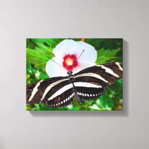 Zebra longwing butterfly on a Hibiscus Red Heart Canvas Print