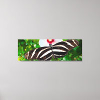Zebra longwing butterfly on a Hibiscus Red Heart