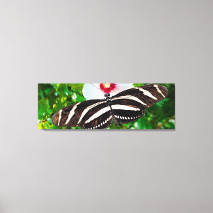 Zebra longwing butterfly on a Hibiscus Red Heart Canvas Print