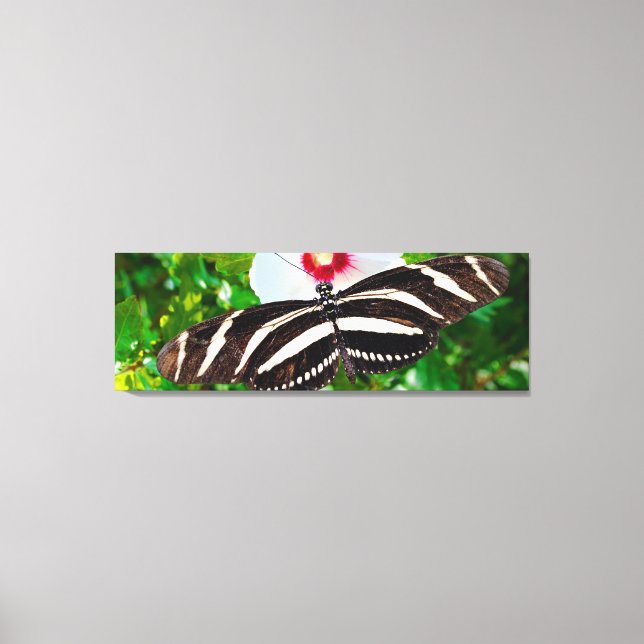 Zebra longwing butterfly on a Hibiscus Red Heart Canvas Print (Front)