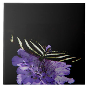 Zebra Longwing Butterfly Tile