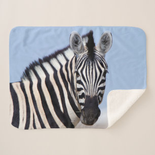 Zebra looking at you with blue sky photo sherpa blanket