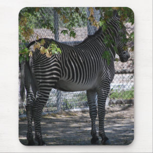 Zebra Love Mouse Pad