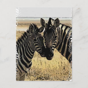 ZEBRA LOVE POSTCARD