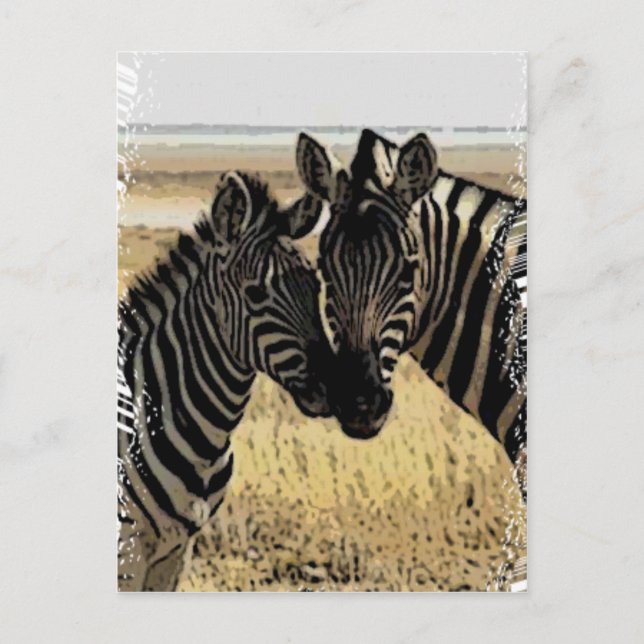 ZEBRA LOVE POSTCARD (Front)