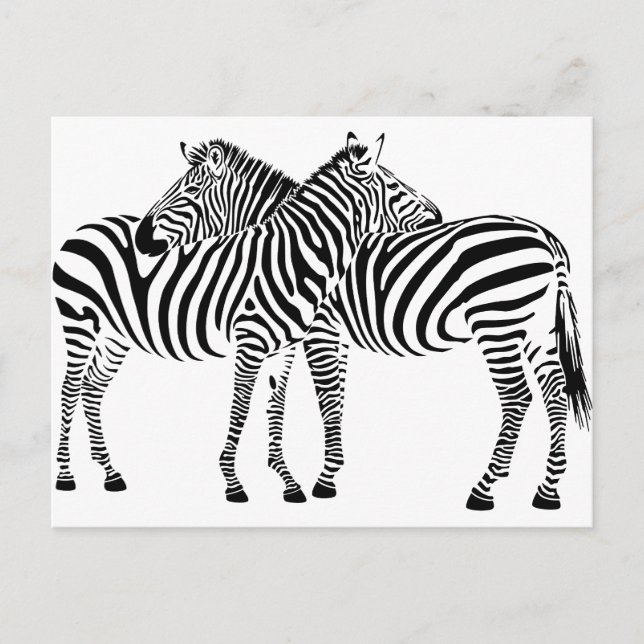 Zebra Love Postcard (Front)