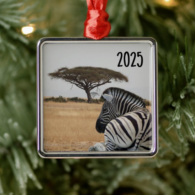 Zebra Lying Down, Kenya Landscape, Acacia Tree Metal Tree Decoration (Tree)