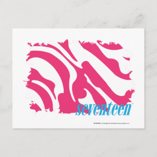 Zebra Magenta 3 Postcard