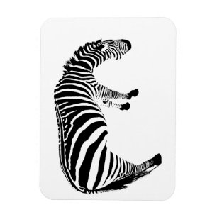 zebra magnet