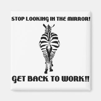zebra magnet