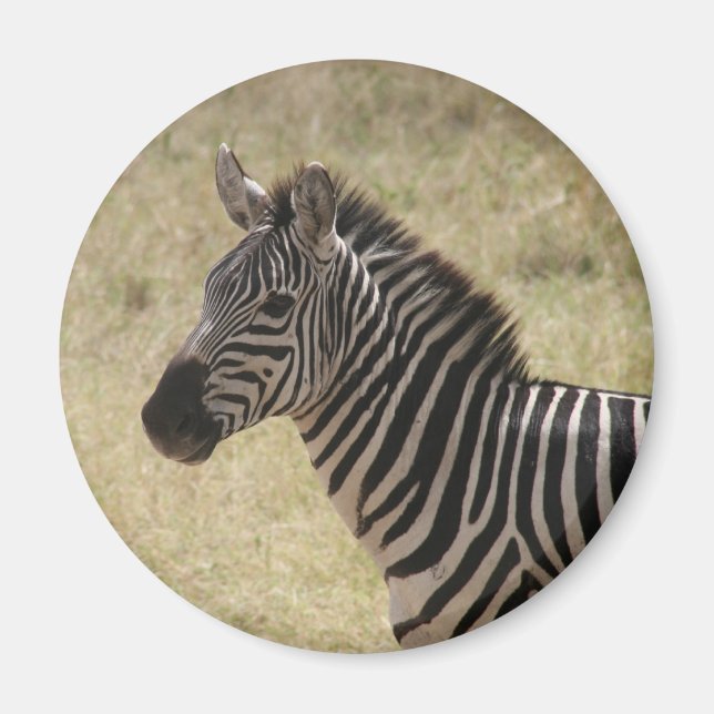 zebra mane magnet (Front)