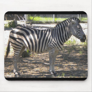 Zebra Mouse Pad