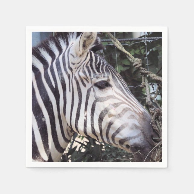 Zebra Napkin (Front)
