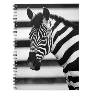 Zebra Notebook