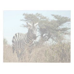 zebra notepad