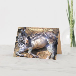 Zebra of love_ card
