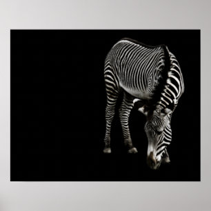 Zebra P4435 Print