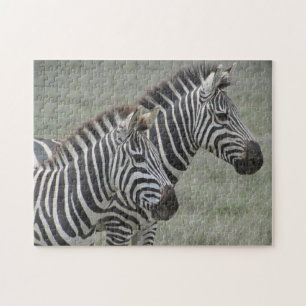 zebra pair jigsaw puzzle