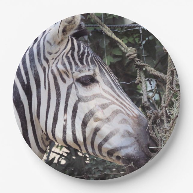 Zebra Paper Plate (Front)