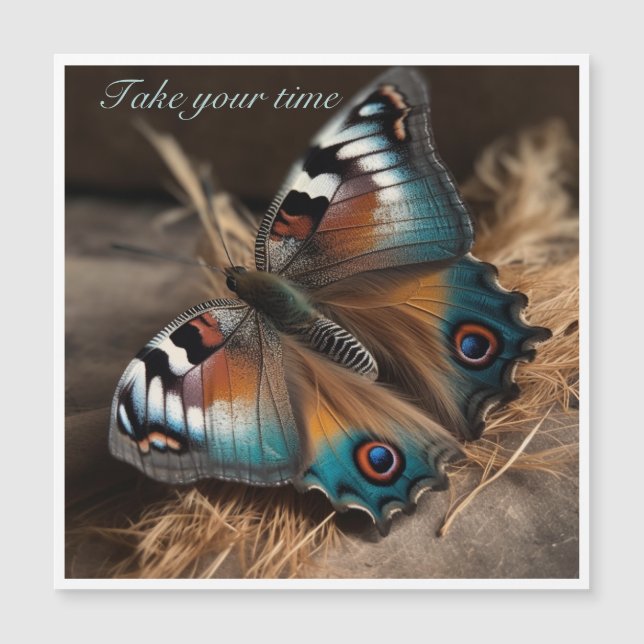 Zebra Peacock Butterfly Take Your Time (Front)