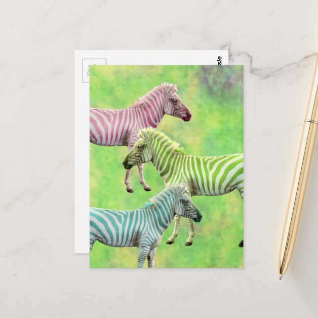 Zebra Pink Blue Green Postcard (Front/Back In Situ)