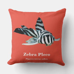 Zebra Pleco Cushion
