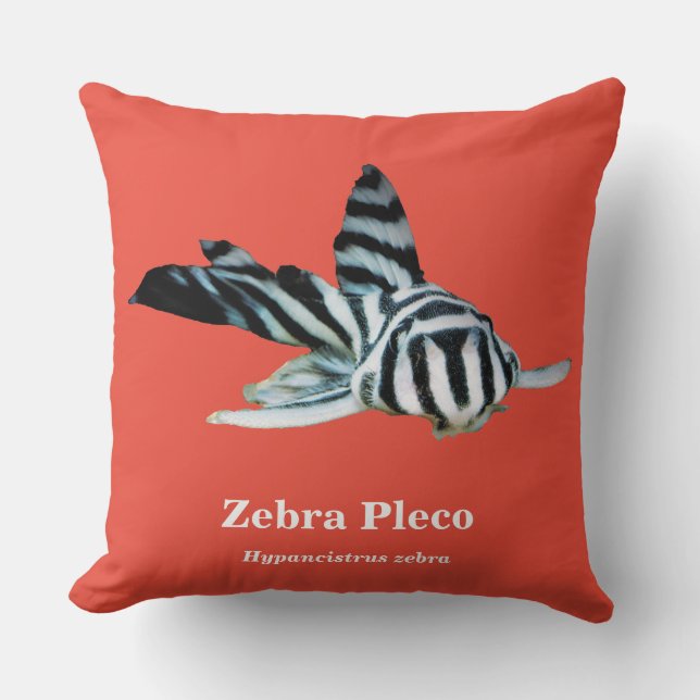 Zebra Pleco Cushion (Front)