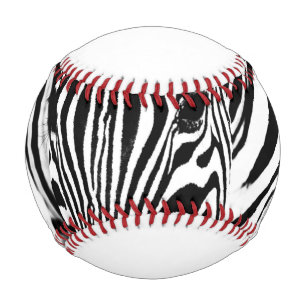 Zebra portrait black and white baseball