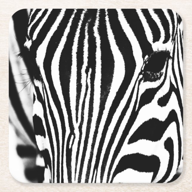 Zebra portrait black and white square paper coaster (Front)