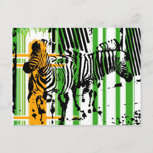 Zebra Postcard