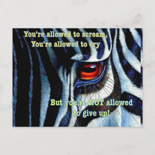 Zebra postcard